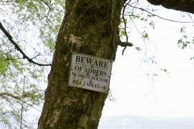 CHP8217den-Milli-Parklar-Uyarisi-Rant-Kapisi-Degil-Dogal-Mirasimizdir-featured