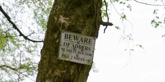 CHP’den Milli Parklar Uyarısı: Rant Kapısı Değil, Doğal Mirasımızdır