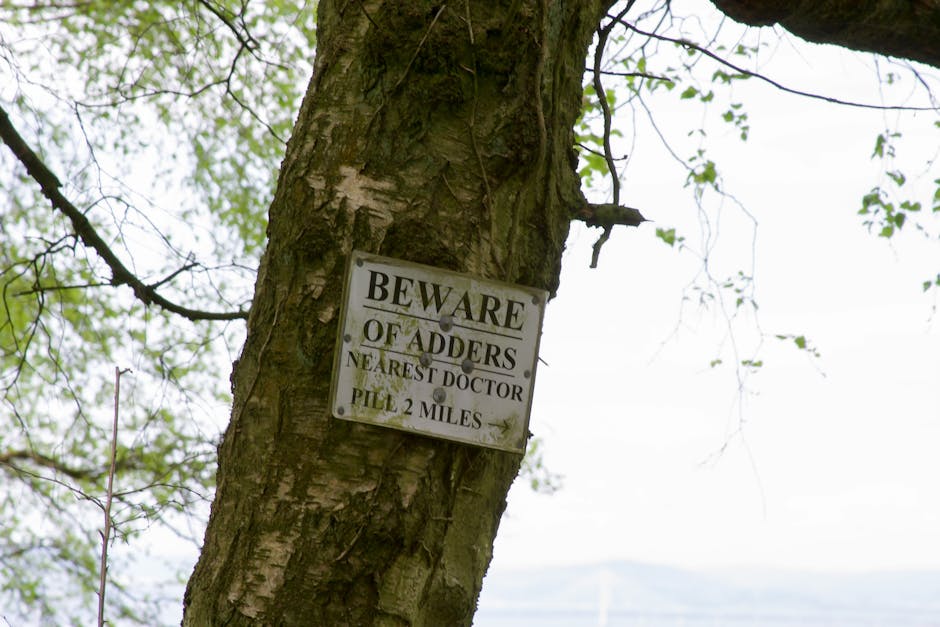 CHP8217den-Milli-Parklar-Uyarisi-Rant-Kapisi-Degil-Dogal-Mirasimizdir-featured