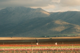 Imamoglu8217ndan-Karaman-Feryadi-Devlet-Cocuklari-Neden-Koruyamadi-featured