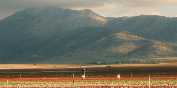 İmamoğlu’ndan Karaman Feryadı: Devlet Çocukları Neden Koruyamadı?