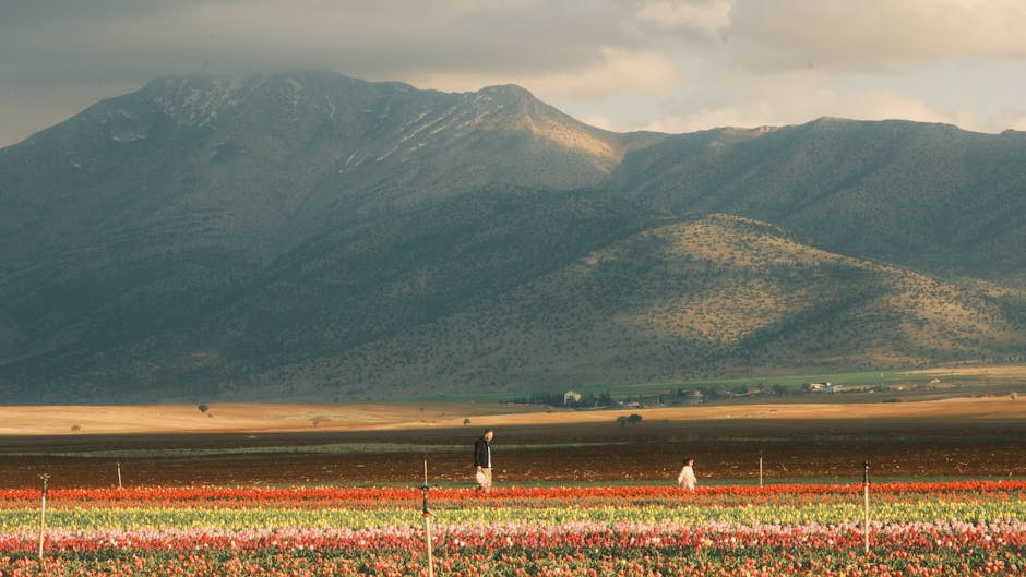 Imamoglu8217ndan-Karaman-Feryadi-Devlet-Cocuklari-Neden-Koruyamadi-featured